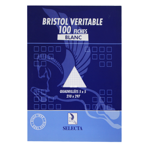 Fiche Bristol Gm Couleur Assorties 5x5 100F - Selecta 